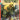 Invincible Universe Capes #6 Cvr D Inc 1:25 Jahnoy Lindsay Var