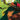 In Your Skin #2 (Of 4) Cvr A Som (Mr)