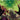 Absolute Green Arrow #2 (Of 6) Cvr A Rafael Albuquerque