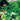 Green Lantern Kyle Rayner Tp Vol 01 (2026 Edition)