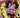 Invincible Universe Battle Beast #6 4th Ptg