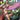ROM Special #1 (One Shot) Cvr C Ej Su Var
