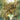 Monstress Book Two - State of Comics