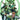 Green Lantern Corps Tp Vol 01 New World Rising