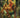 Cheetara Worldbreaker #1 Cvr C Ivan Tao Var