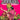 Savage Dragon #281 2nd Ptg (MR)