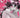 Mirka Andolfos Sweet Paprika Black White & Pink Halloween Special #1 (Of 2) Cvr B Rachta Lin Var