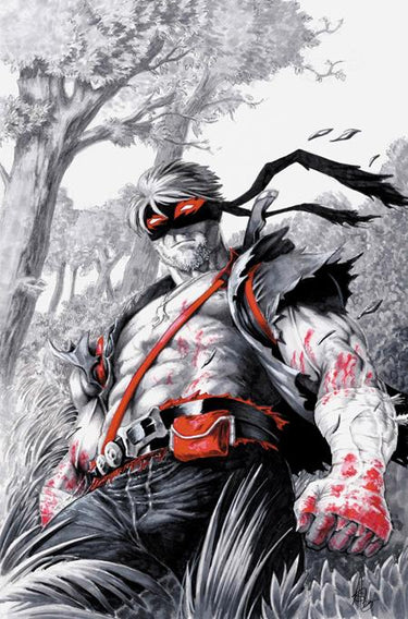 Final Boss #12 Cvr D 1:25 Brad Ashworth Var comic book cover