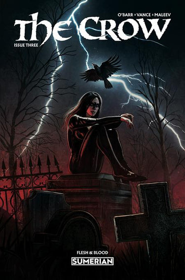 Crow Flesh and Blood #3 Cvr a Eduardo Schaal comic book cover