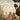 Everything Dead & Dying #5 (Of 5) Cvr A Jacob Phillips (Mr)