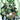 Green Lantern Corps #1 Cvr A Fernando Pasarin & Oclair Albert
