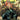 Cover art for Absolute Batman #17 comic book by DC Comics featuring Batman in dynamic action pose.
