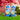 BCmini Zodiac Kids blind box showing colorful mystery packaging with various zodiac-themed toys inside