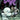 Bone Vol 3 Eyes of the Storm - State of Comics