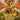 Wings of Fire #12: The Hive Queen - State of Comics