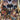 Valiant Beyond Tales Of The Shadowman #8 Legacy Of Leroi #2 Cvr C Birr Full Art - State of Comics