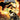 Venom #260 Qib
