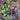 Spider-Man/hulk Fire and Brimstone #1 Marco Checchetto 2nd Printing Variant
