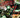 Doom All-on-One #1