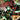 Doom All-on-One #1