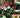 Doom All-on-One #1