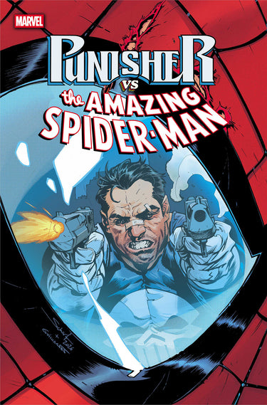 Punisher Vs. Spider-Man #5