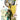 Foundations One - Shot Cvr a 3w3m Mike Huddleston