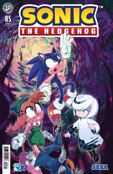 Sonic The Hedgehog #85 Cvr B Dutreix