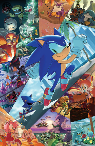 Sonic the Hedgehog #91 Variant RI 25 Hammerstrom Full Art
