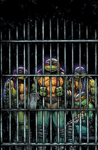 Teenage Mutant Ninja Turtles #11 1:10 Incv Eastman Full Art Variant