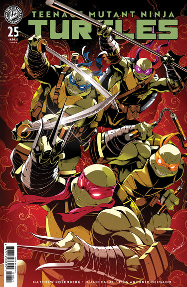 Teenage Mutant Ninja Turtles #25 Cvr B Variant Godtail Cover Set cover by GODTAIL