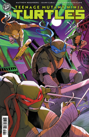 Teenage Mutant Ninja Turtles #25 Variant RI 1:10 Hannigan cover by Reese Hannigan