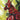 Godzilla Kai-Sei Era #16 Variant RC comic by IDW Publishing featuring full art of Godzilla in dynamic pose.