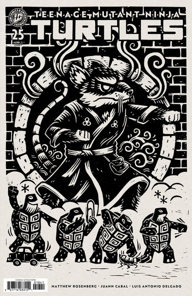 Teenage Mutant Ninja Turtles #25 Cover F Variant comic book by IDW Publishing featuring artwork of the Turtles in action.