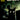 Stuff of Nightmares the Cat in the Coffin #1 Cvr C Homage Variant Dressed Gorham
