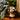 No More Fungi Mushroom Plush - State of Comics