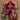 Sorcerer Supreme Vol 1 Rise of the Scarlet Witch