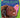 Serena Williams a Who Hq Illustrated Biography