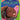 Serena Williams a Who Hq Illustrated Biography