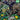 Teenage Mutant Ninja Turtles Secret of the Ooze-35th Anniversary