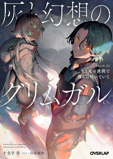 Grimgar of Fantasy and Ash Light Novel Vol 22 TP