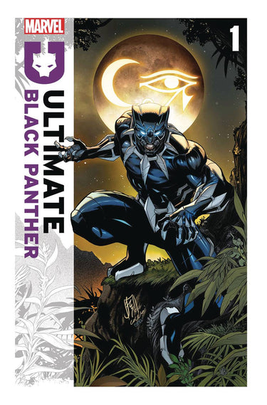 Marvel Black Panther graphic novel, Ultimate Black Panther Tp Vol 01 Peace And War, featuring vibrant comic book cover art.