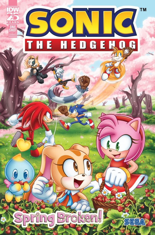Sonic The Hedgehog Spring Broken #1 Cvr B Starling - State of Comics