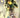 Holy Roller #1 Cvr D Inc 1:15 Keron Grant Var - Stateofcomics.com