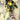 Holy Roller #1 Cvr D Inc 1:15 Keron Grant Var - Stateofcomics.com