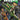 Green Arrow (2023) Tp Vol 01 Reunion