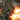 Weapon Plus World War IV Skan Var - State of Comics