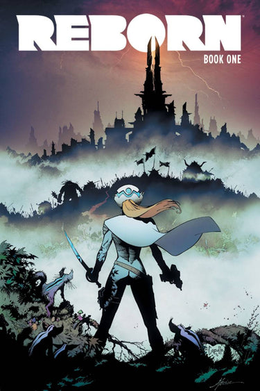 Cover of Reborn TP graphic novel by Image Comics featuring vibrant comic book artwork and characters.