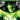 Green Lanterns Rebirth Vol 05 Out of Time TP - State of Comics