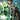 Hal Jordan and the GLC Vol 07 Darkstars Rising TP - State of Comics